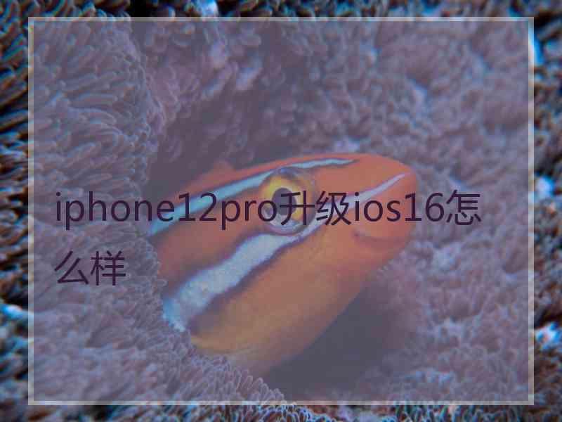 iphone12pro升级ios16怎么样