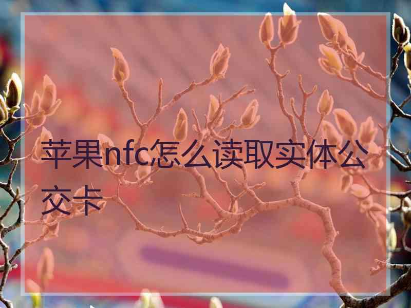 苹果nfc怎么读取实体公交卡