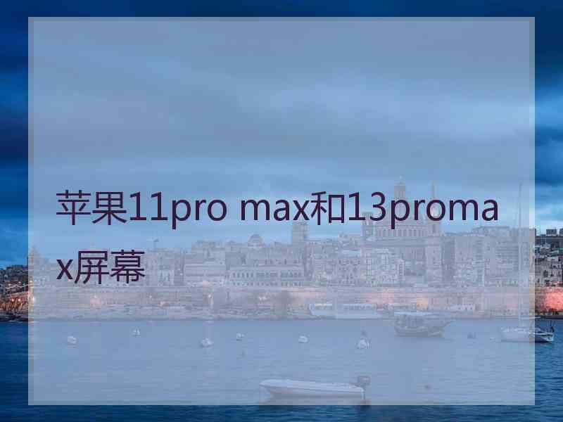 苹果11pro max和13promax屏幕