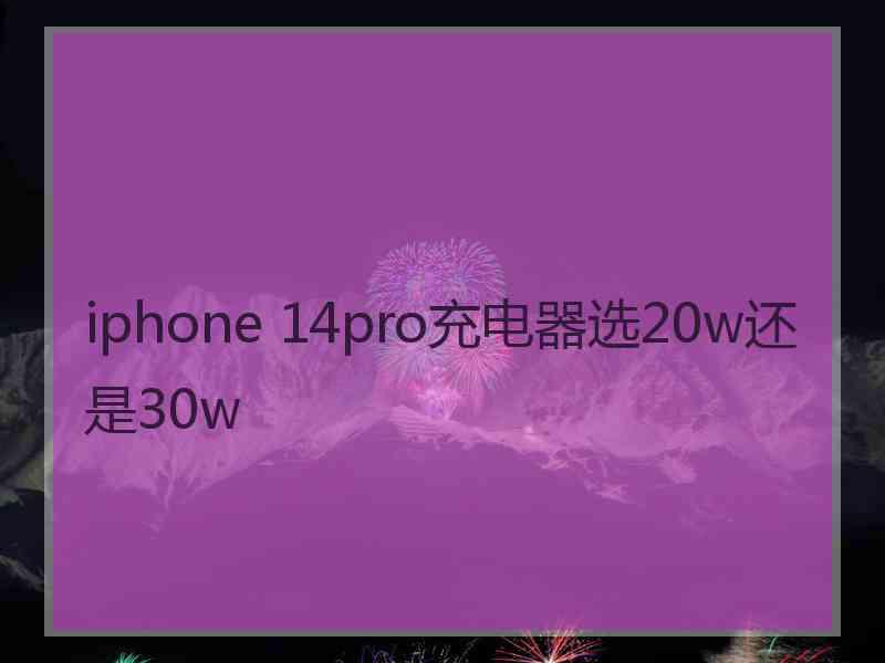 iphone 14pro充电器选20w还是30w