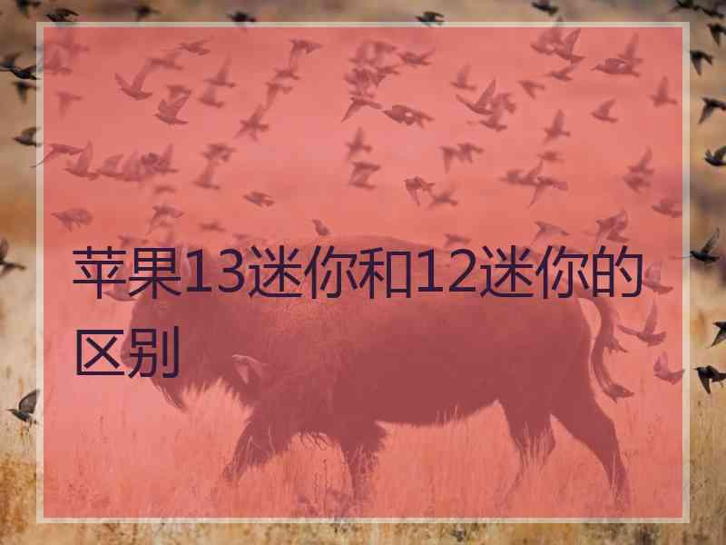 苹果13迷你和12迷你的区别