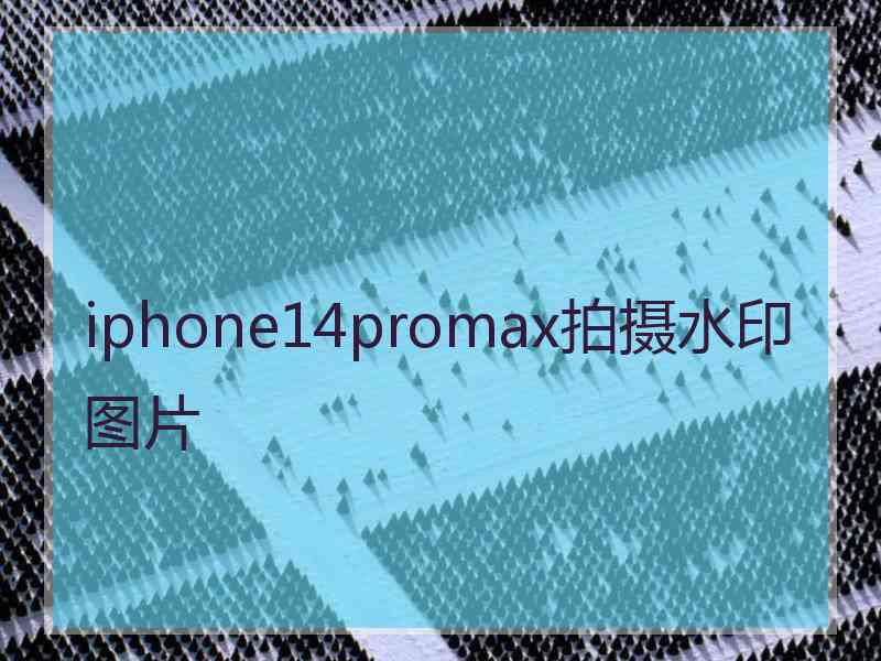 iphone14promax拍摄水印图片