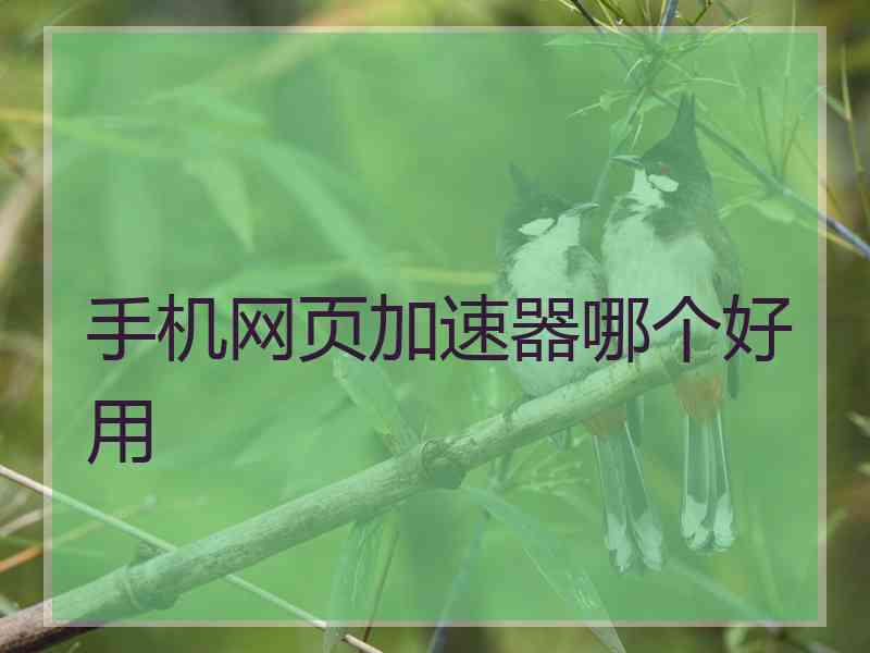 手机网页加速器哪个好用