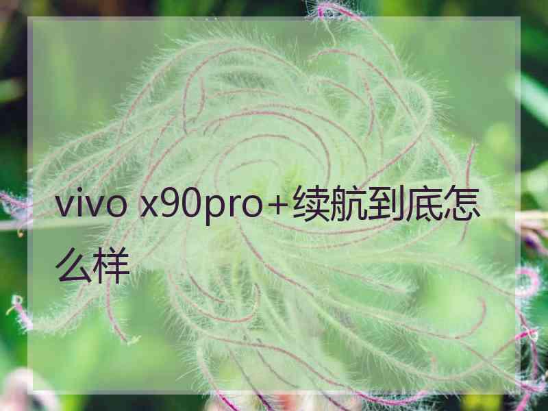 vivo x90pro+续航到底怎么样