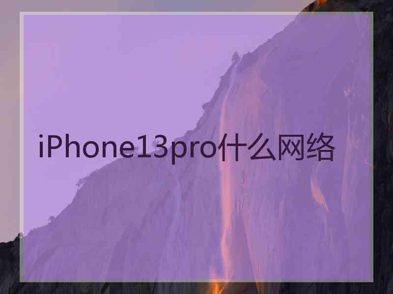 iPhone13pro什么网络