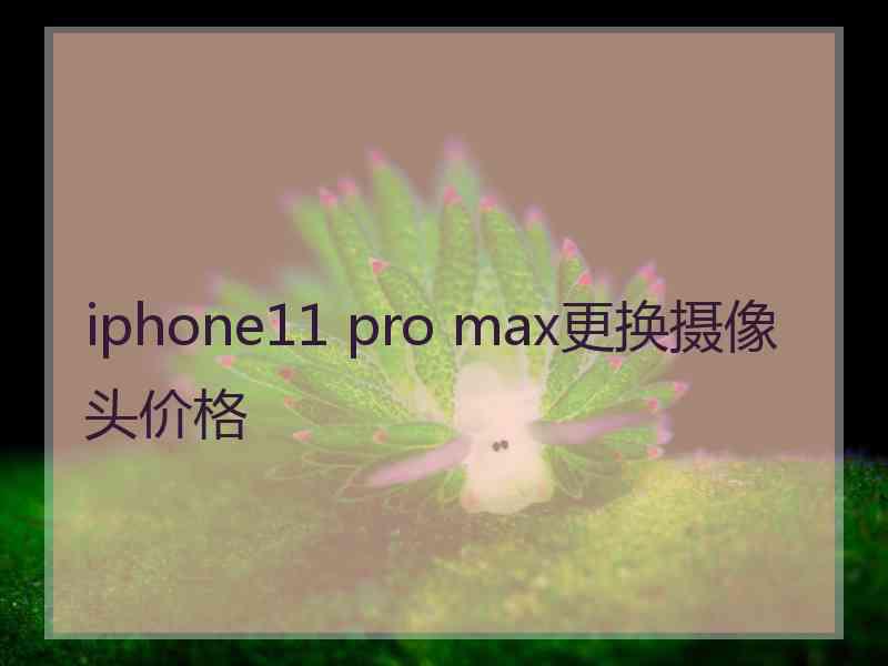 iphone11 pro max更换摄像头价格