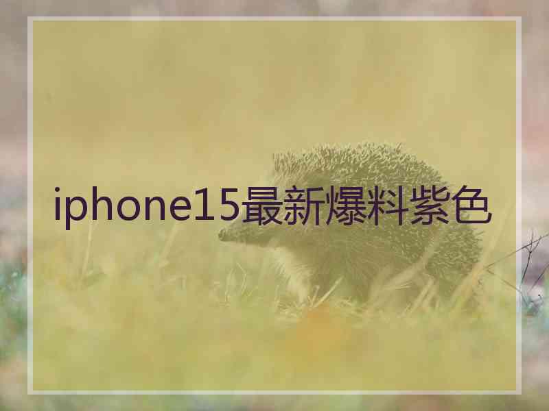 iphone15最新爆料紫色