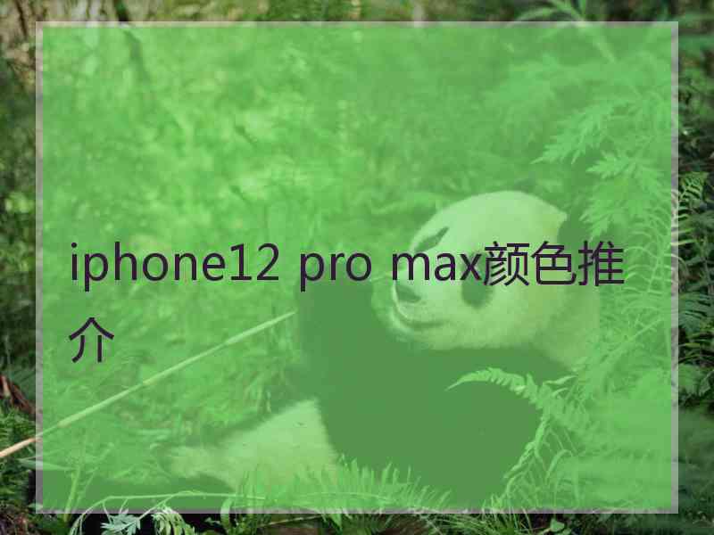 iphone12 pro max颜色推介