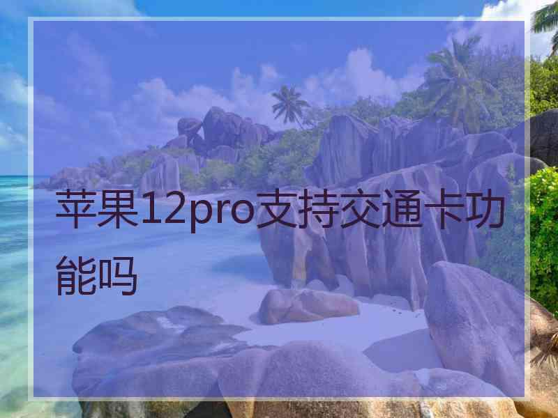 苹果12pro支持交通卡功能吗