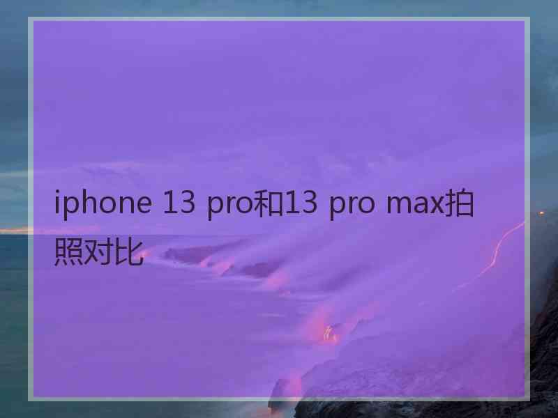 iphone 13 pro和13 pro max拍照对比