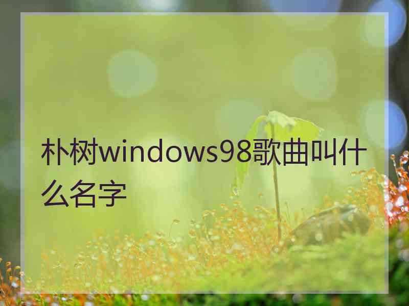 朴树windows98歌曲叫什么名字