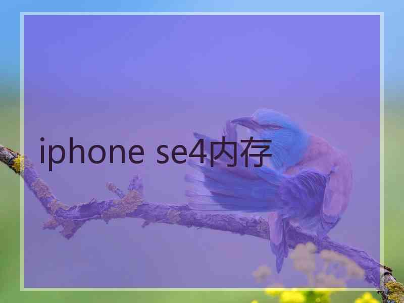 iphone se4内存