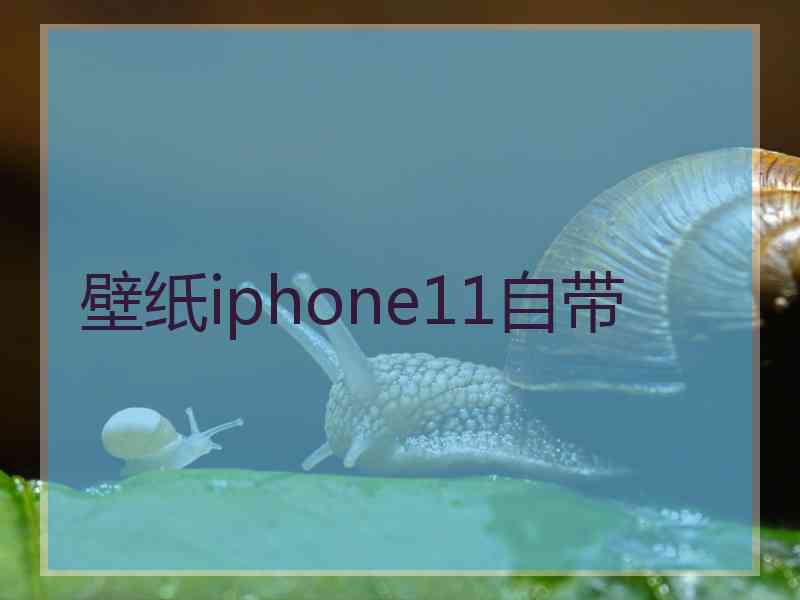 壁纸iphone11自带