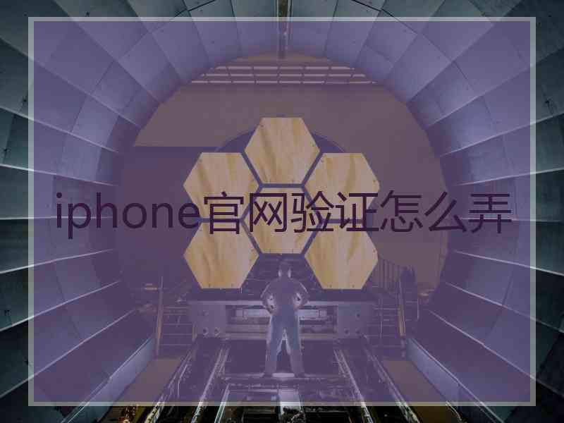 iphone官网验证怎么弄