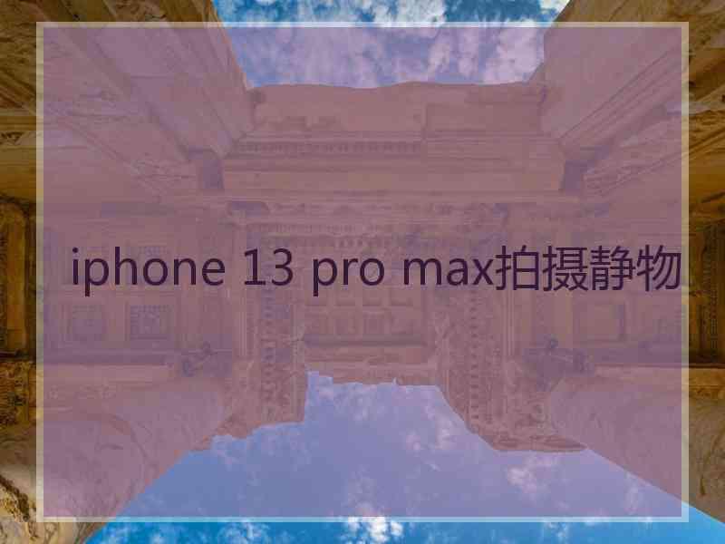 iphone 13 pro max拍摄静物