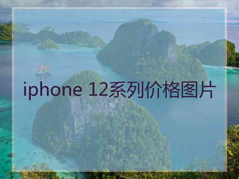 iphone 12系列价格图片