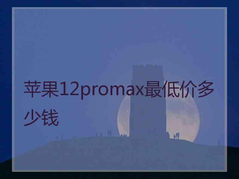 苹果12promax最低价多少钱