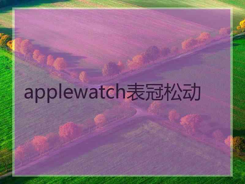 applewatch表冠松动