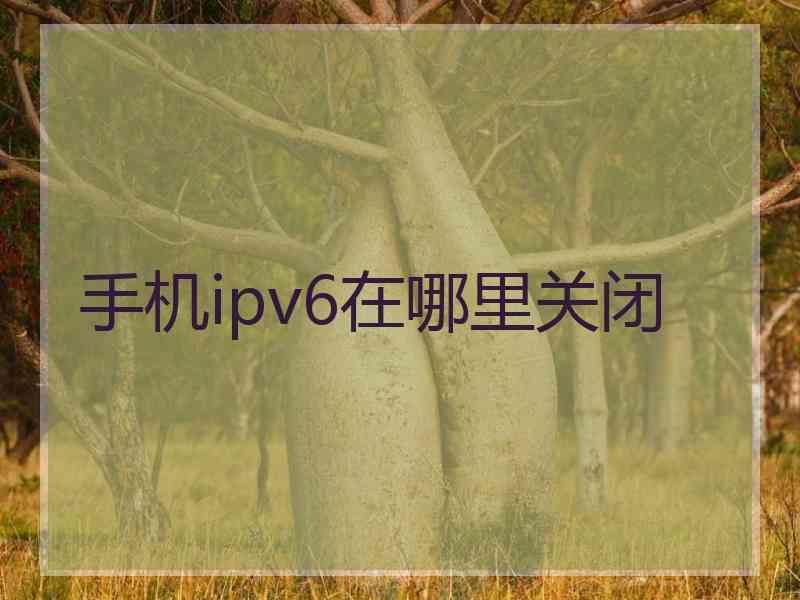 手机ipv6在哪里关闭