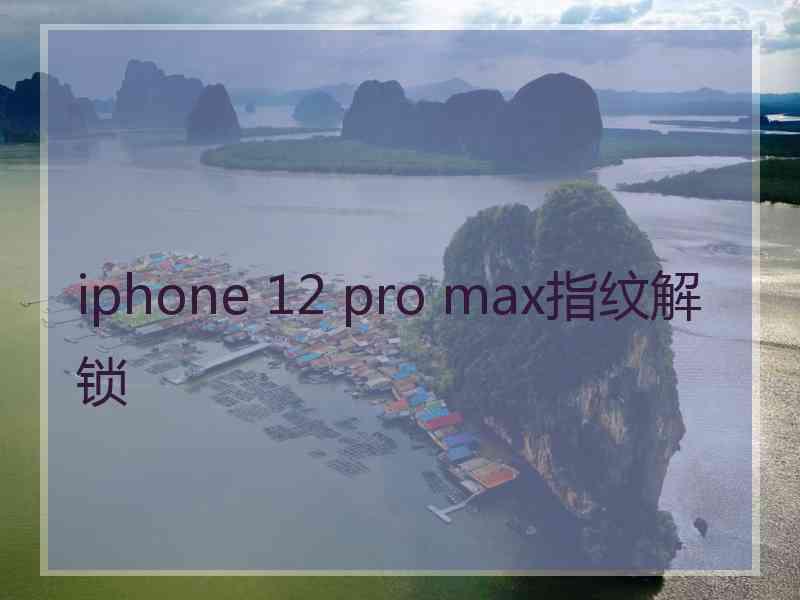 iphone 12 pro max指纹解锁