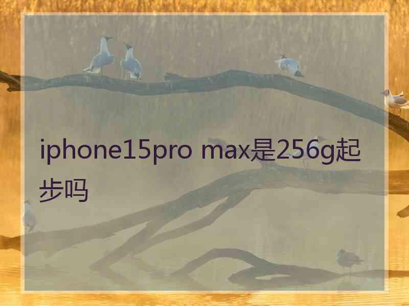 iphone15pro max是256g起步吗