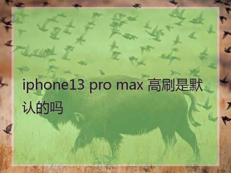 iphone13 pro max 高刷是默认的吗