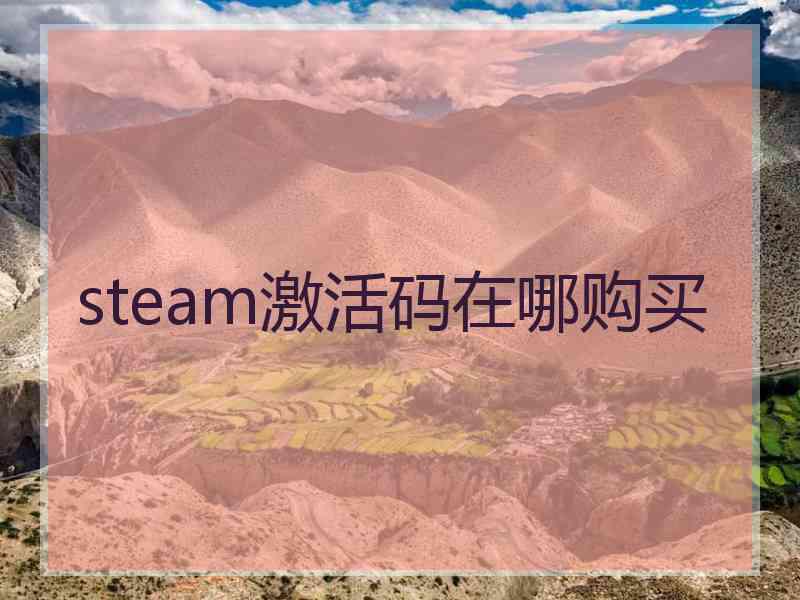 steam激活码在哪购买