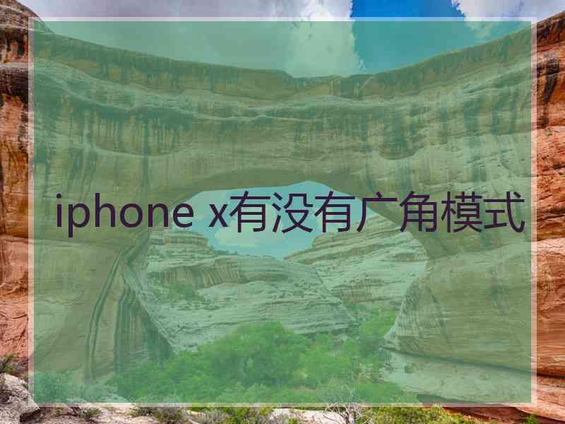 iphone x有没有广角模式