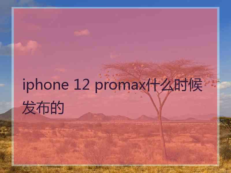 iphone 12 promax什么时候发布的