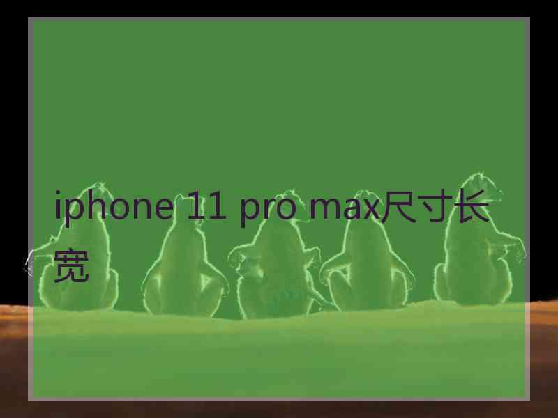 iphone 11 pro max尺寸长宽