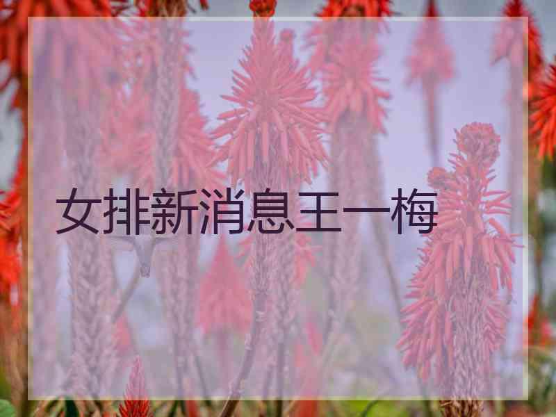 女排新消息王一梅