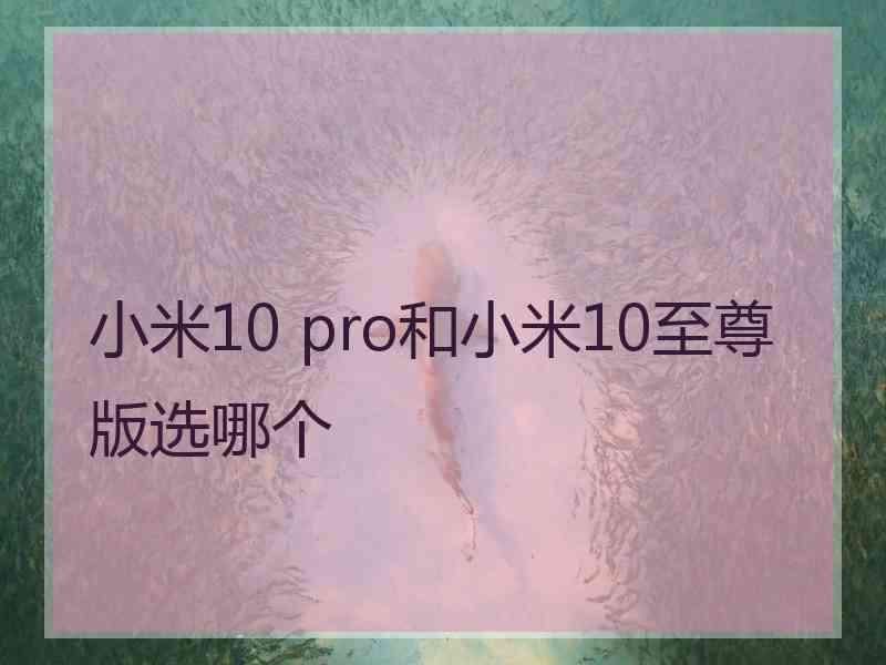 小米10 pro和小米10至尊版选哪个