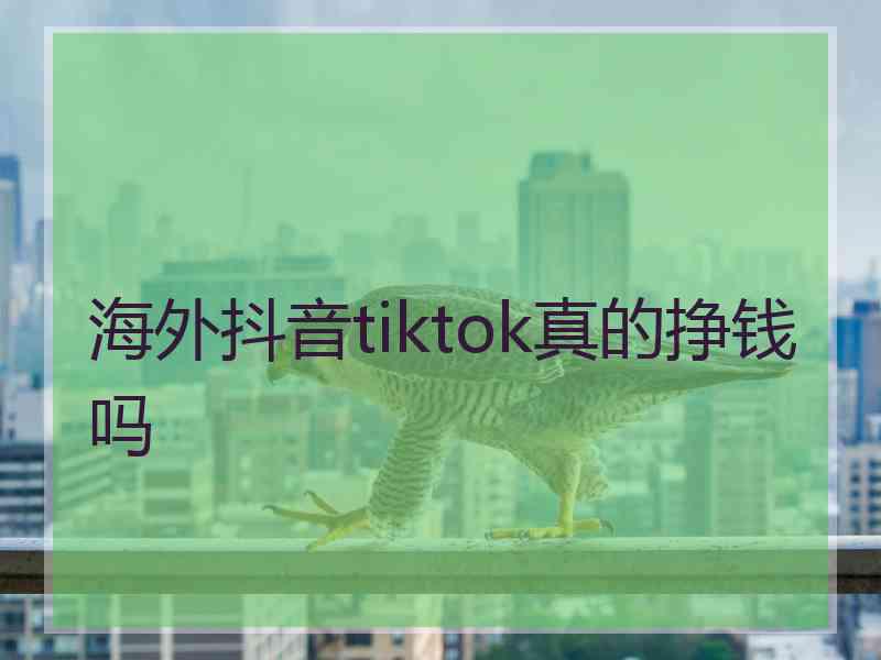 海外抖音tiktok真的挣钱吗