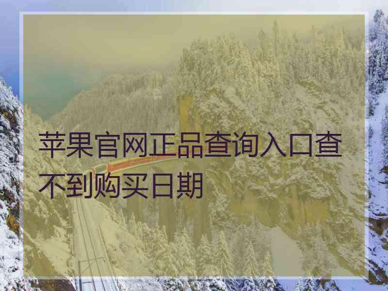 苹果官网正品查询入口查不到购买日期