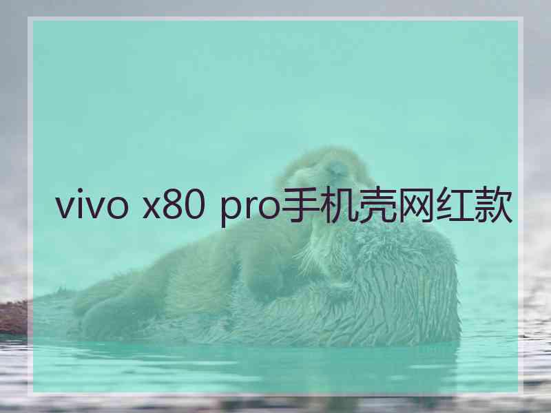 vivo x80 pro手机壳网红款