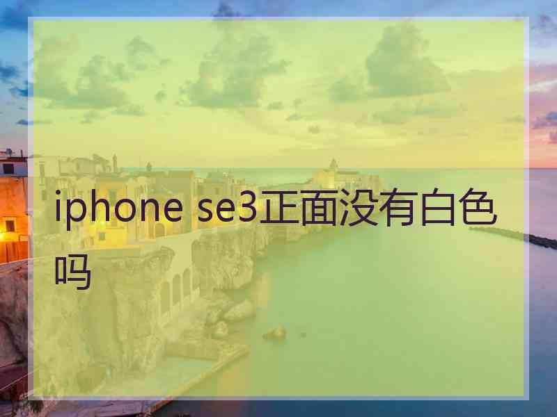 iphone se3正面没有白色吗