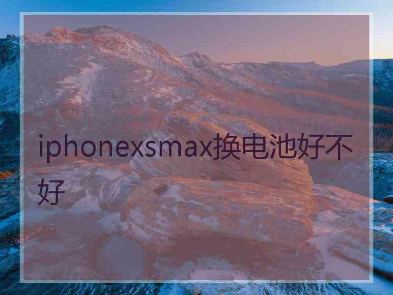 iphonexsmax换电池好不好