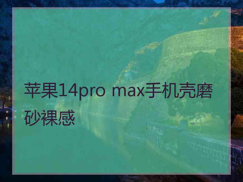 苹果14pro max手机壳磨砂裸感