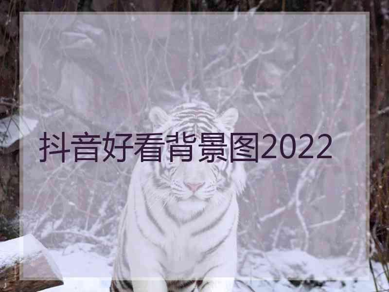 抖音好看背景图2022