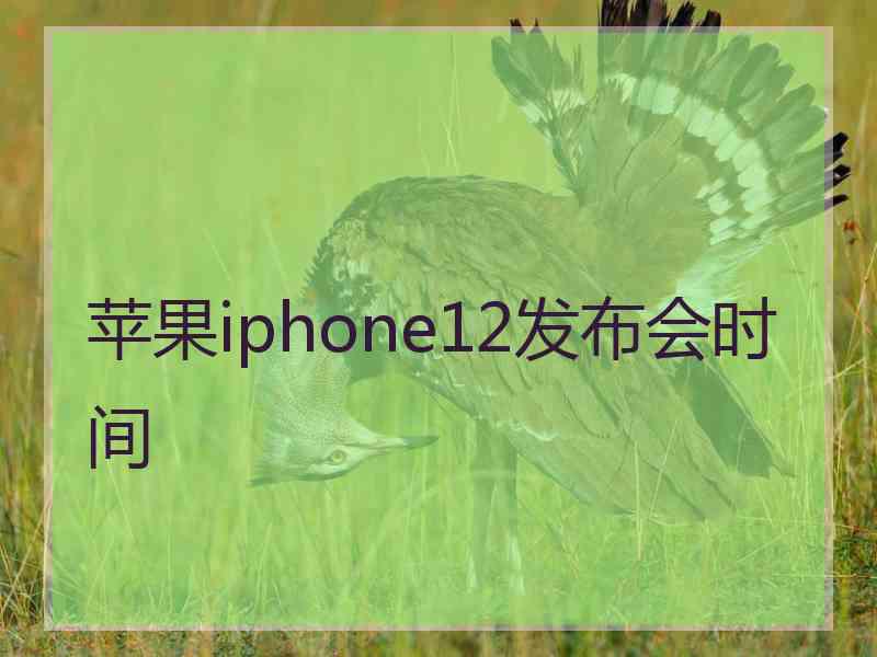 苹果iphone12发布会时间