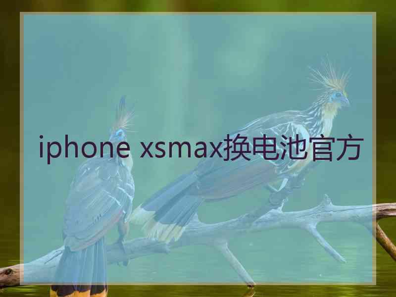 iphone xsmax换电池官方