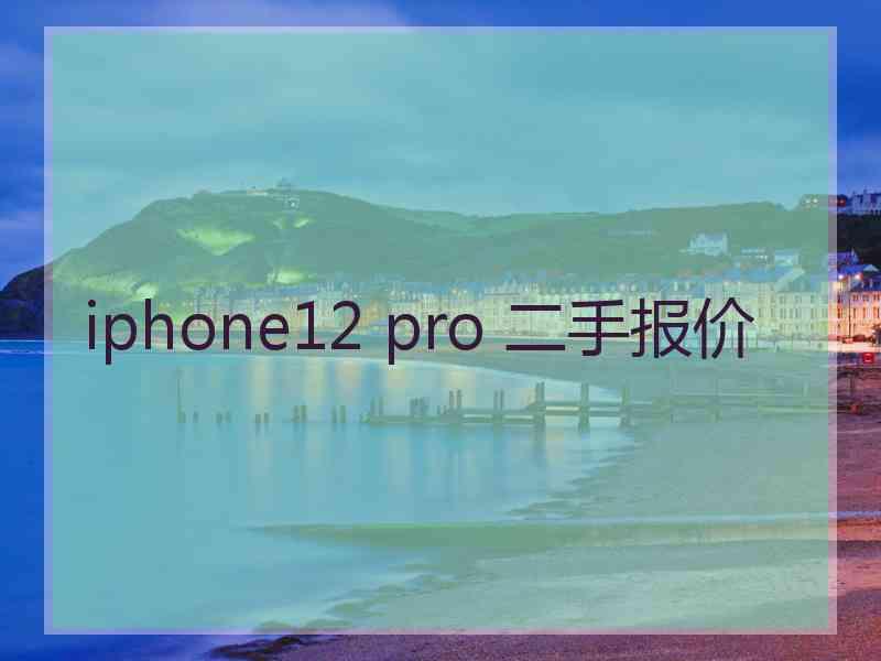 iphone12 pro 二手报价