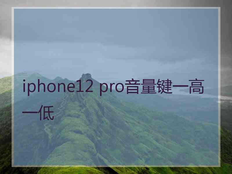 iphone12 pro音量键一高一低