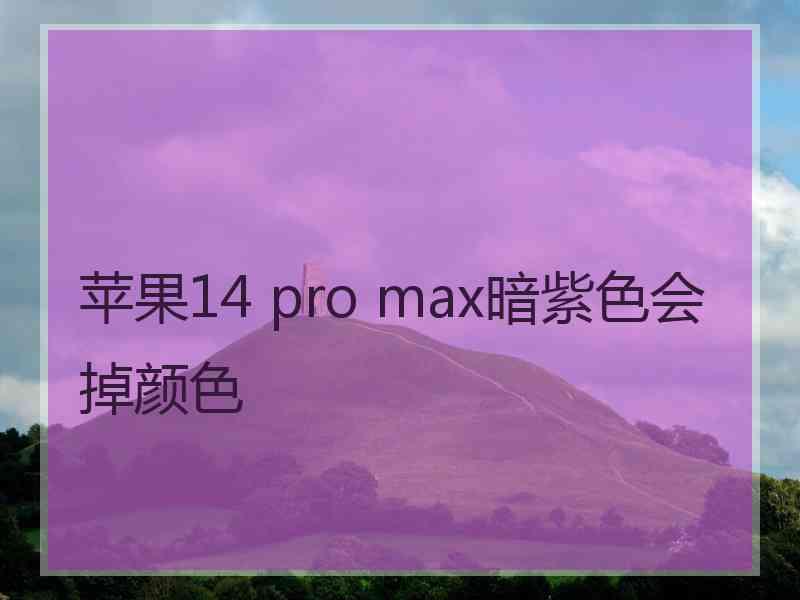 苹果14 pro max暗紫色会掉颜色