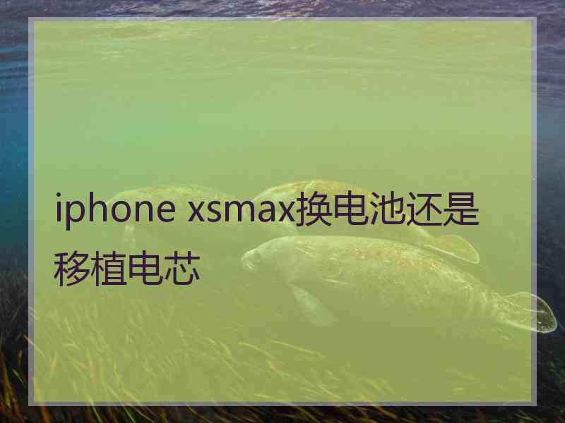 iphone xsmax换电池还是移植电芯