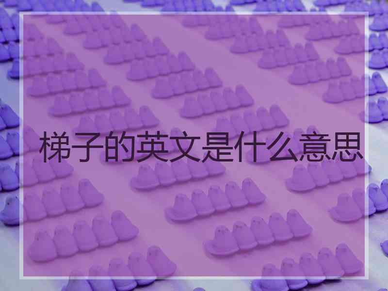 梯子的英文是什么意思