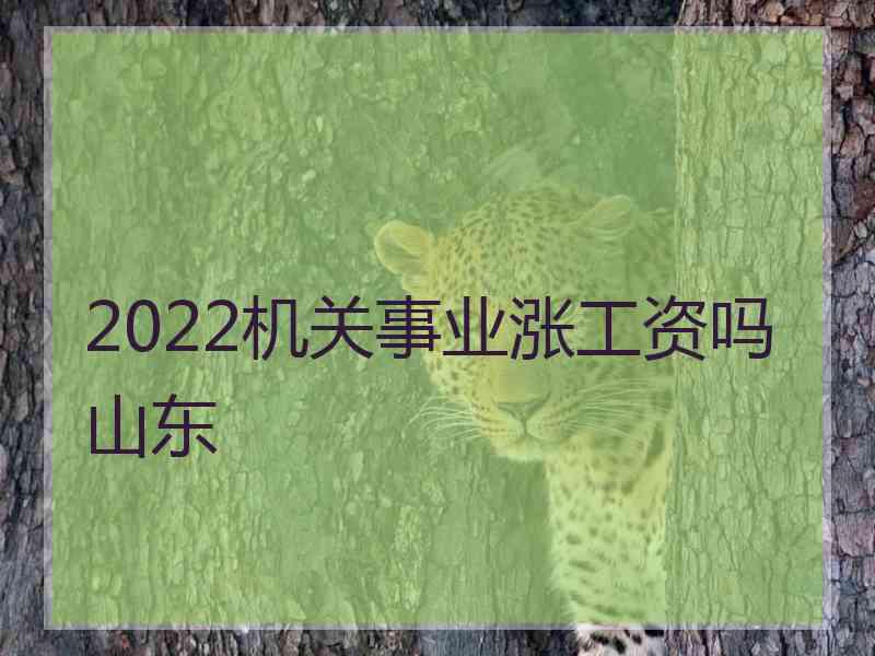 2022机关事业涨工资吗山东