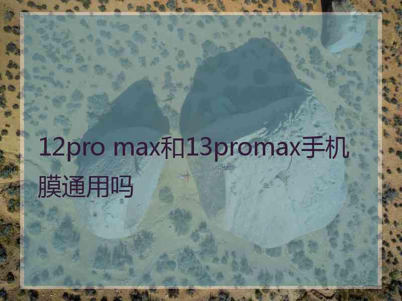 12pro max和13promax手机膜通用吗