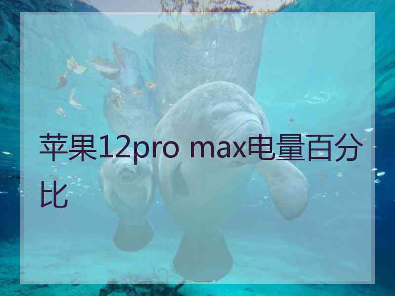 苹果12pro max电量百分比