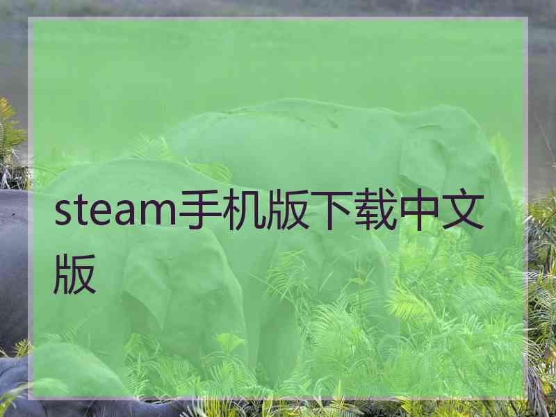 steam手机版下载中文版